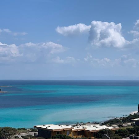 Appartamento Sole E Mare Stintino Exterior foto