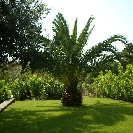 Appartamento Sole E Mare Stintino Exterior foto
