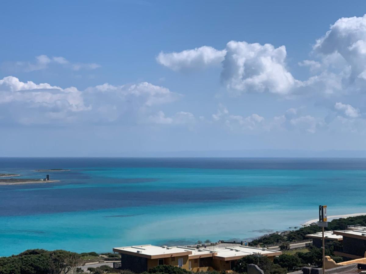 Appartamento Sole E Mare Stintino Exterior foto