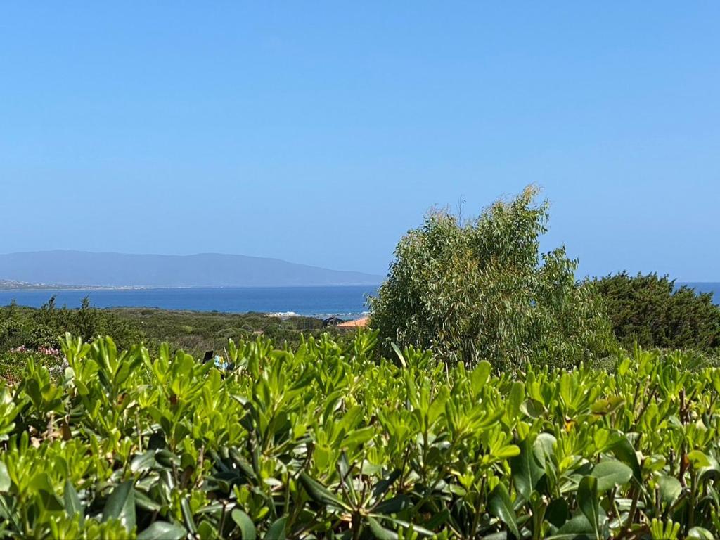 Appartamento Sole E Mare Stintino Exterior foto